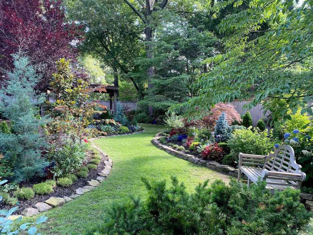 Landscaped backyard with curved garden beds and lawn